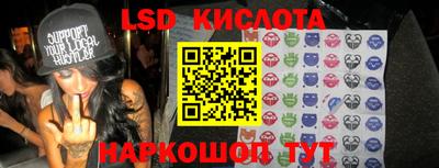 прущие грибы Камышлов