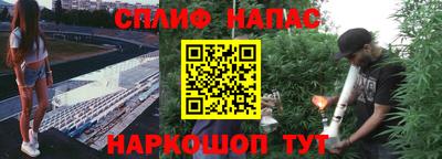 сатива Канаш