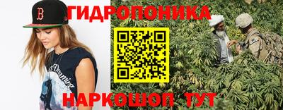 сатива Канаш