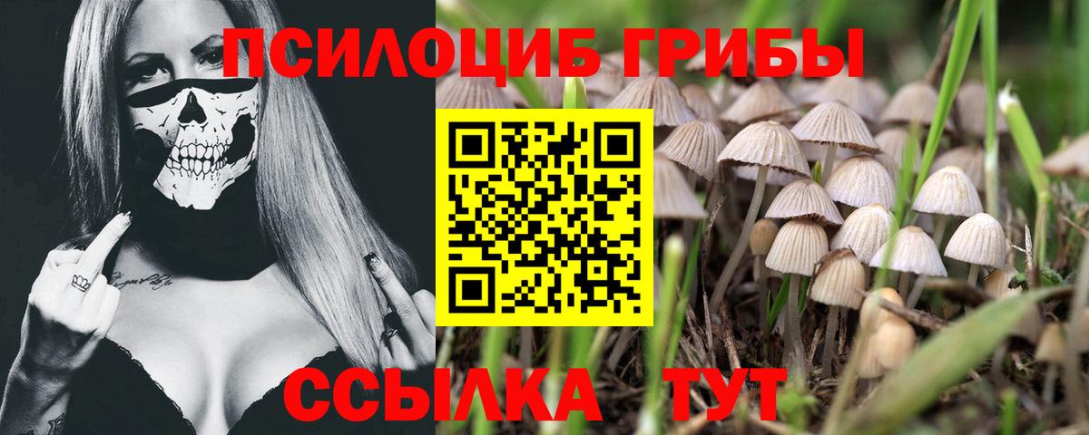 Галлюциногенные грибы мухоморы Краснокаменск