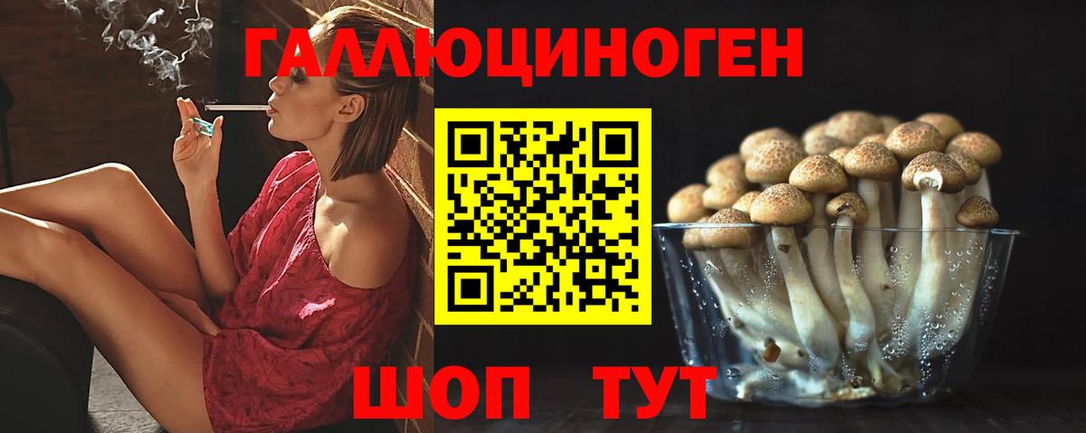 Галлюциногенные грибы Cubensis  Вход с VPN  Краснокаменск 